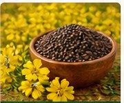Mustard seeds and mustard crop
