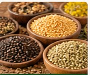 Assorted agricultural seeds and grains